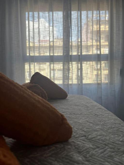 Apartamento Medina Azahara Córdoba Buitenkant foto